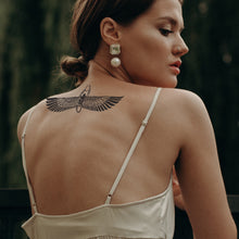 Load image into Gallery viewer, Pharaohs Pack