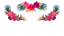 Load image into Gallery viewer, Tropicana
